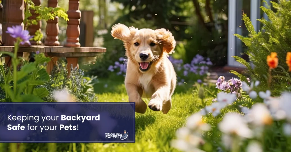 Keeping your Backyard Safe for your Pets!