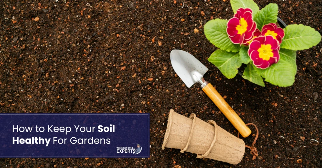 How to Keep Your Soil Healthy For Gardens