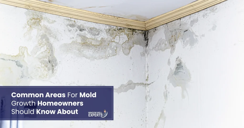Common Areas For Mold Growth Homeowners Should Know About