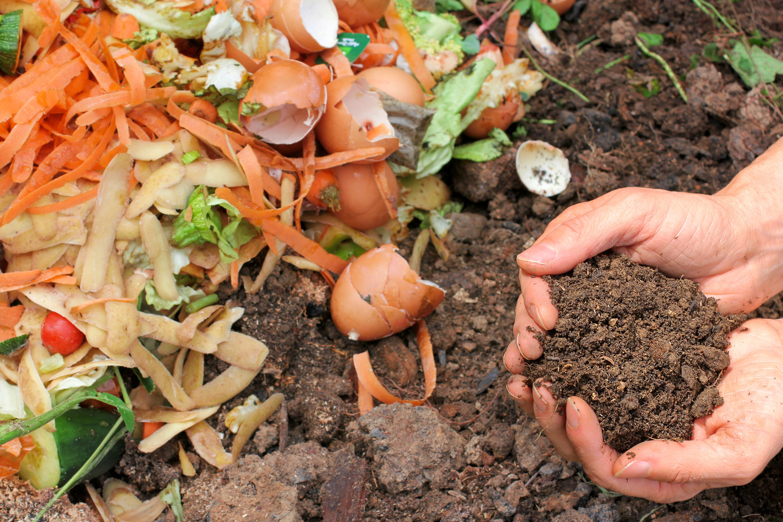 organic garden compost