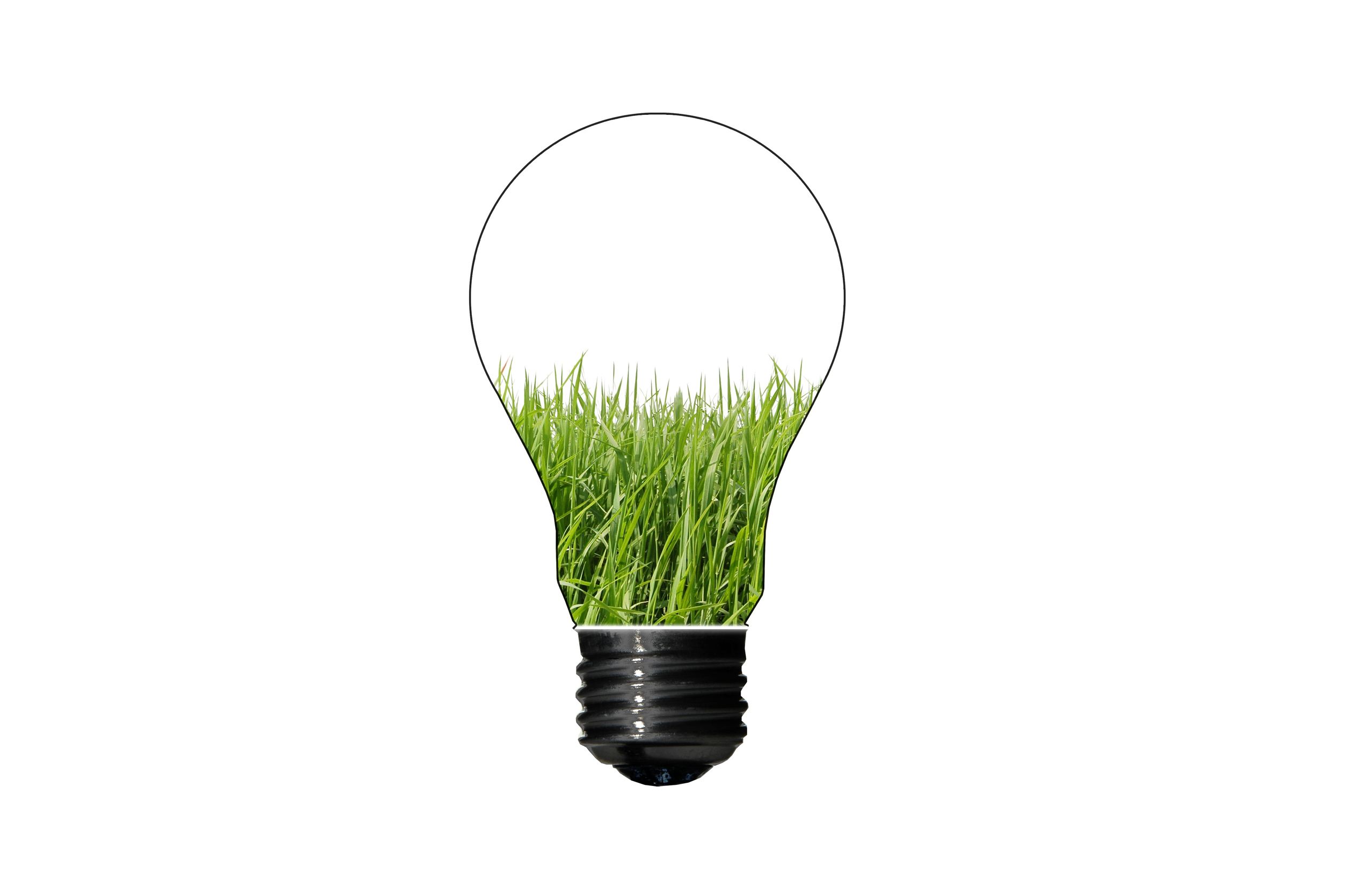 eco-friendly light bulb