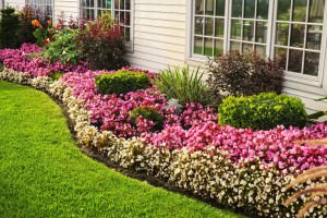 Ways to Beautify Your Window Wells and Landscape