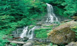Waterfall decorative liner