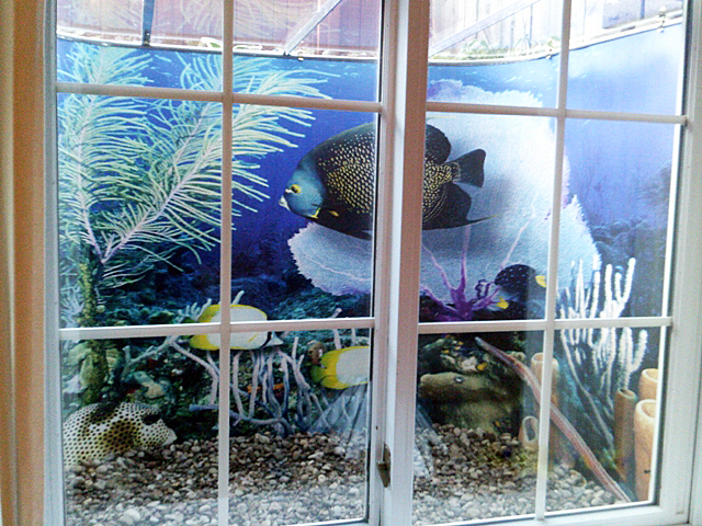 Decorative liner for window well with fish and ocean theme