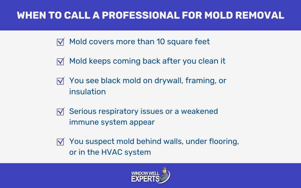 infographic of when to call a professional for mold damage